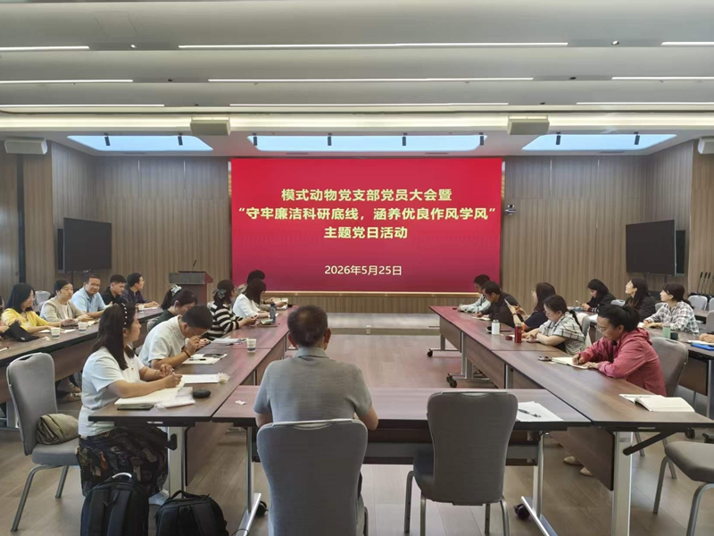 电子游戏app下载安装