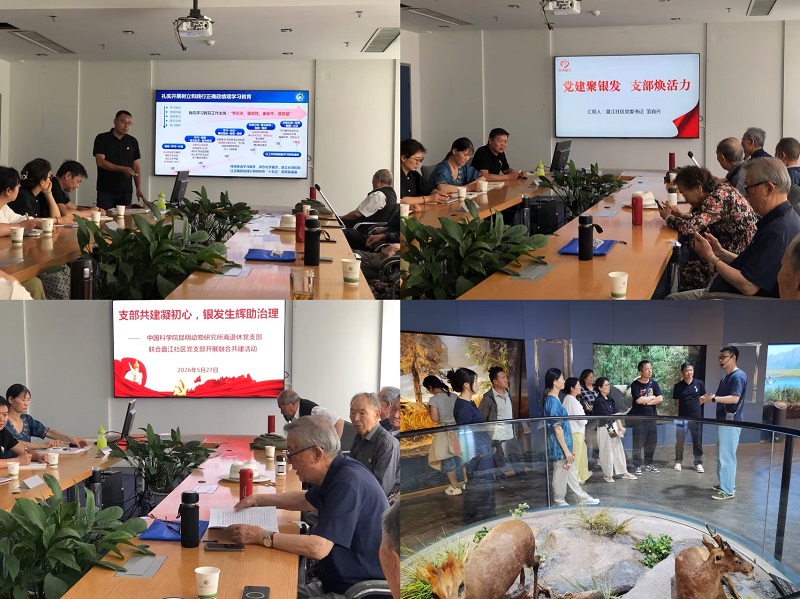 电子游戏app下载安装
