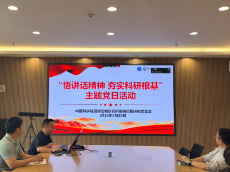 电子游戏app下载安装