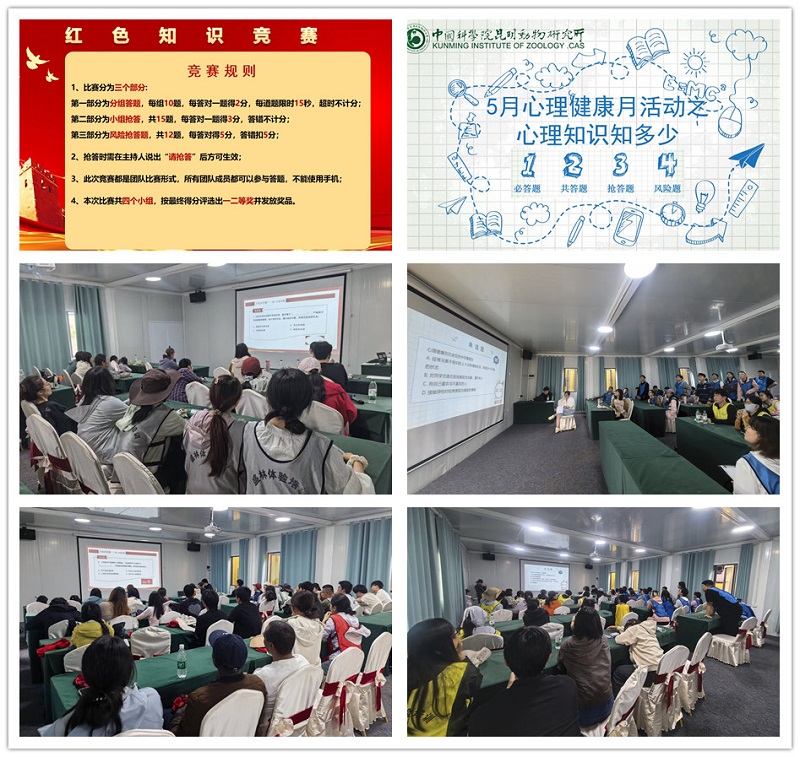 电子游戏app下载安装
