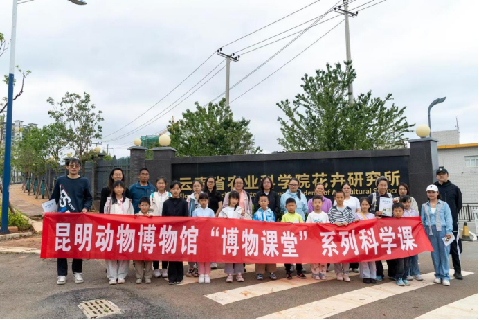 电子游戏app下载安装