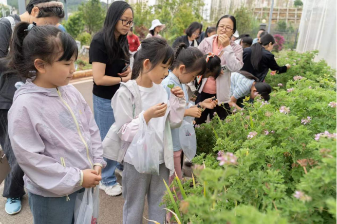 电子游戏app下载安装