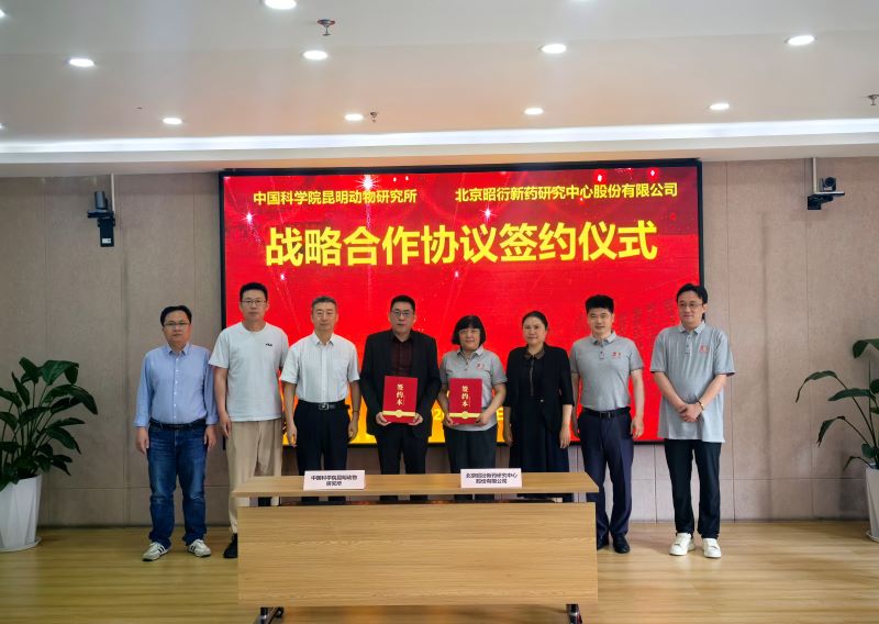 电子游戏app下载安装