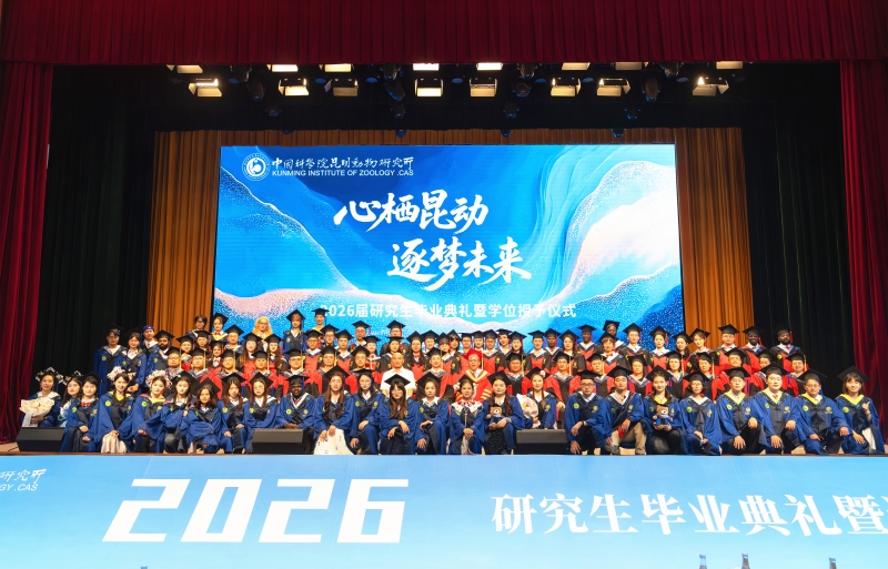 电子游戏app下载安装