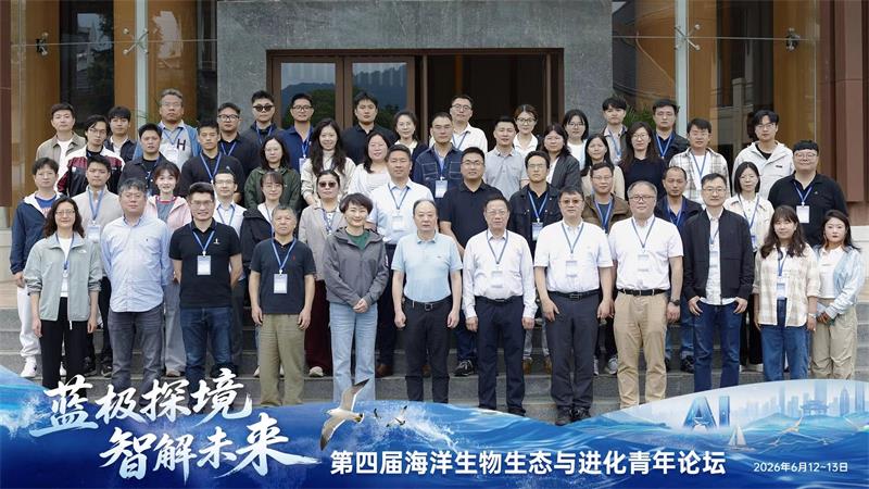 电子游戏app下载安装
