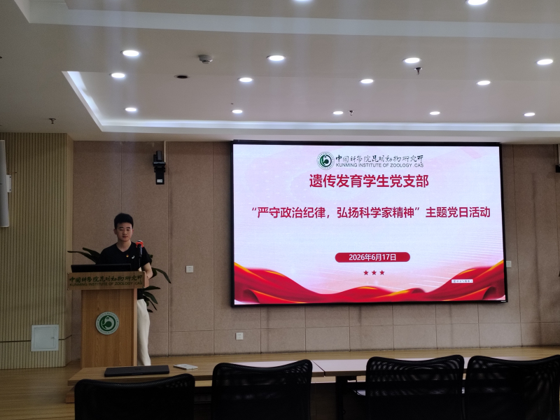 电子游戏app下载安装
