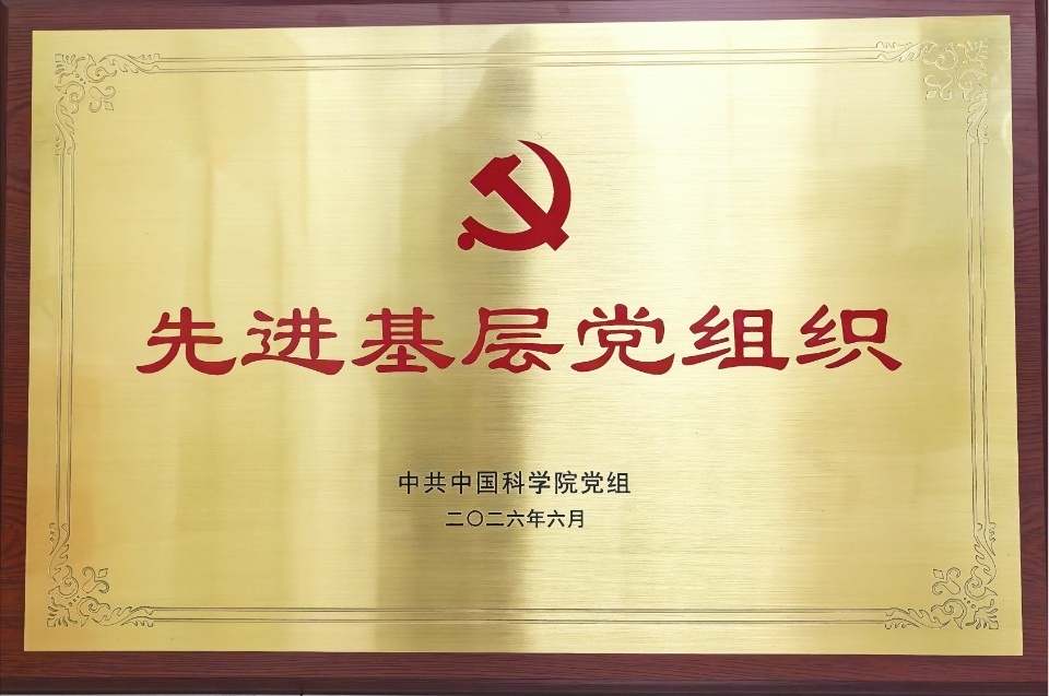 电子游戏app下载安装