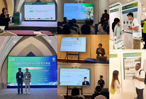 电子游戏app下载安装