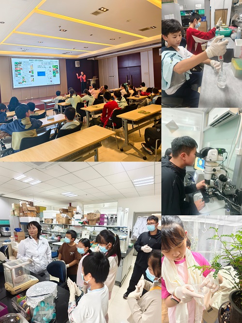 电子游戏app下载安装