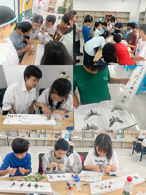 电子游戏app下载安装