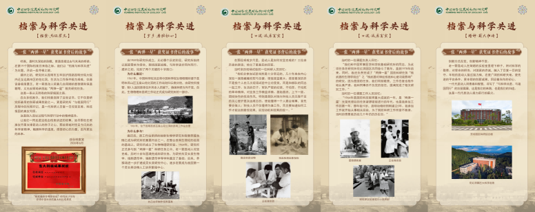 电子游戏app下载安装