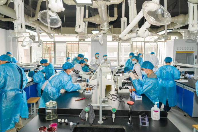 电子游戏app下载安装