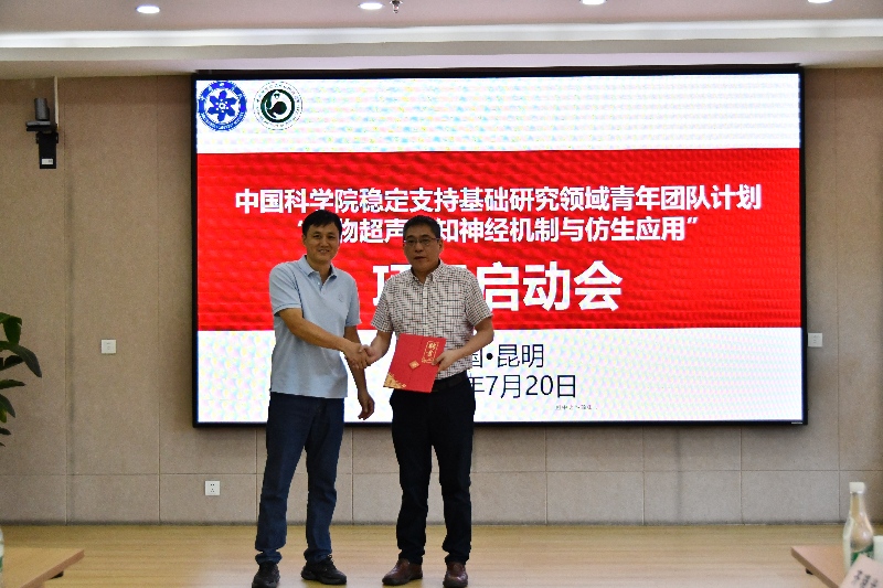 电子游戏app下载安装