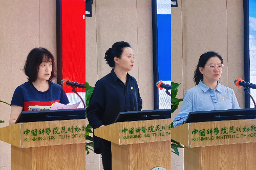 电子游戏app下载安装