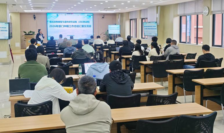 电子游戏app下载安装