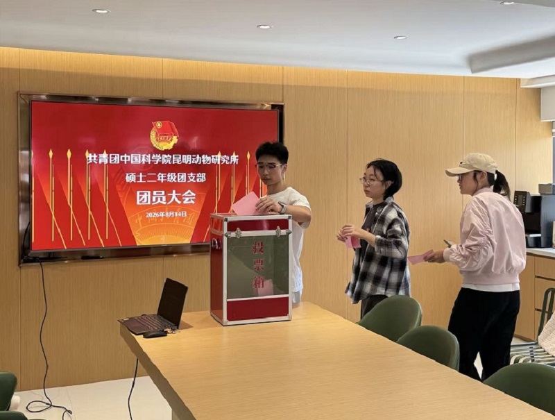 电子游戏app下载安装