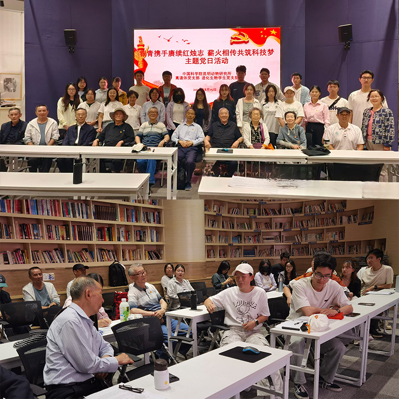 电子游戏app下载安装