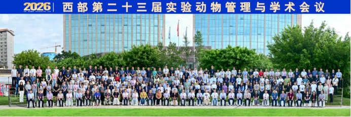 电子游戏app下载安装