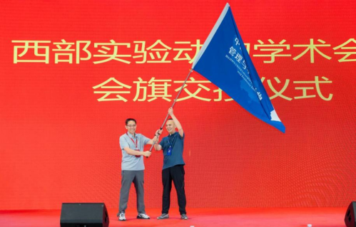 电子游戏app下载安装