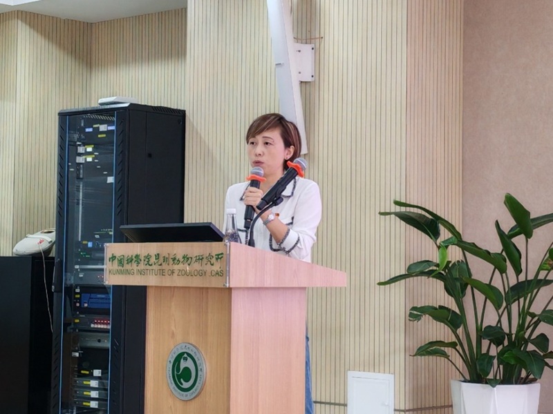 电子游戏app下载安装