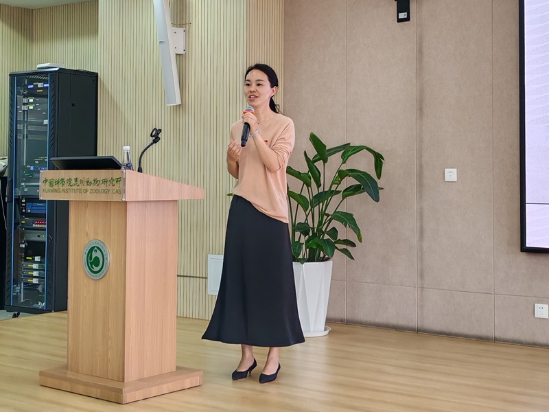 电子游戏app下载安装