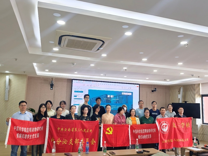 电子游戏app下载安装