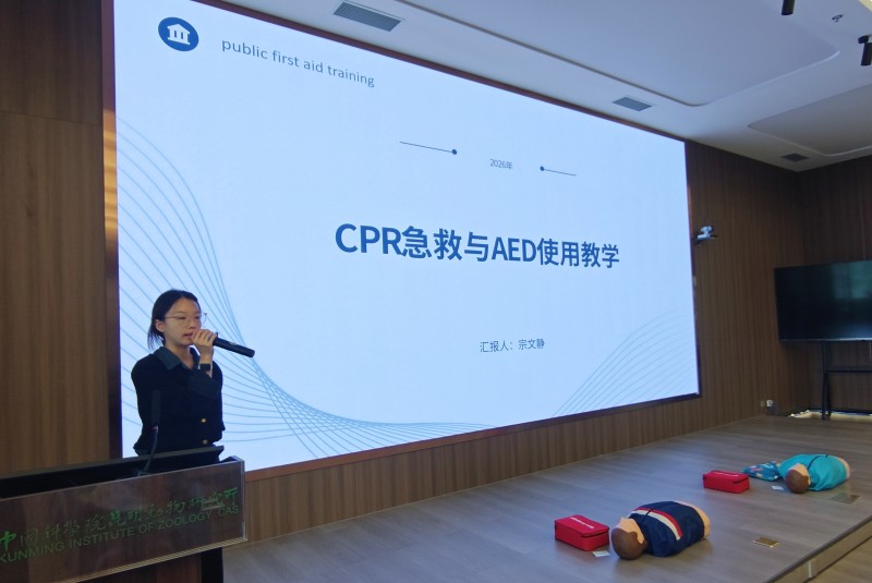 电子游戏app下载安装