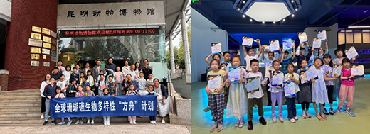 电子游戏app下载安装