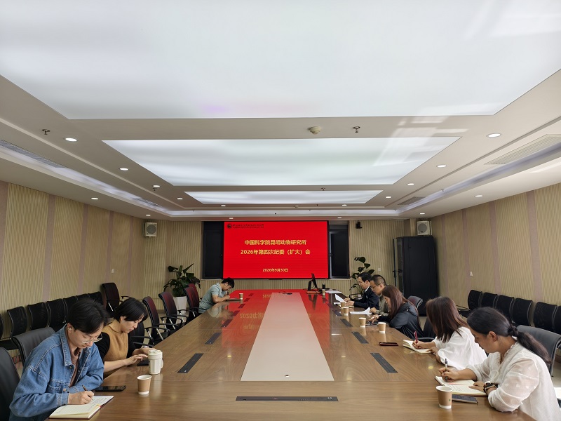 电子游戏app下载安装