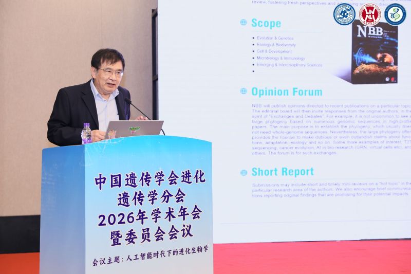 电子游戏app下载安装