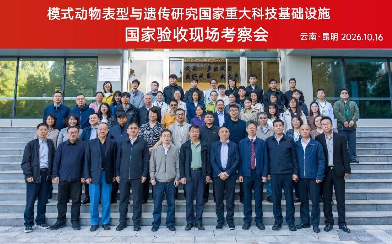 电子游戏app下载安装