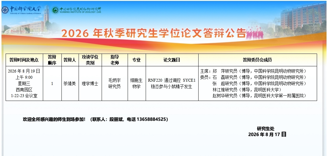 电子游戏app下载安装