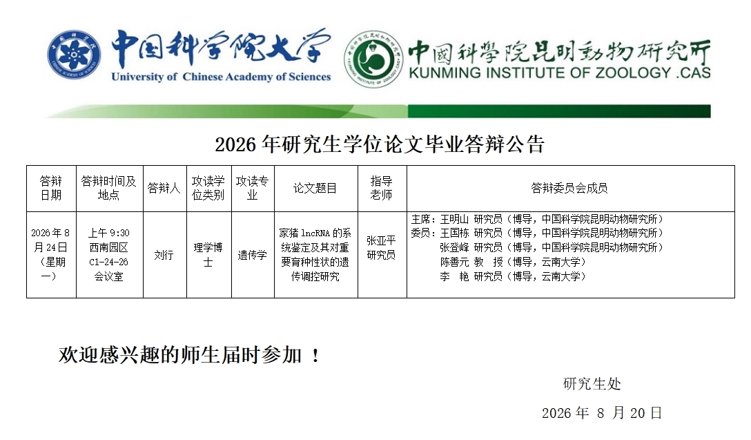 电子游戏app下载安装
