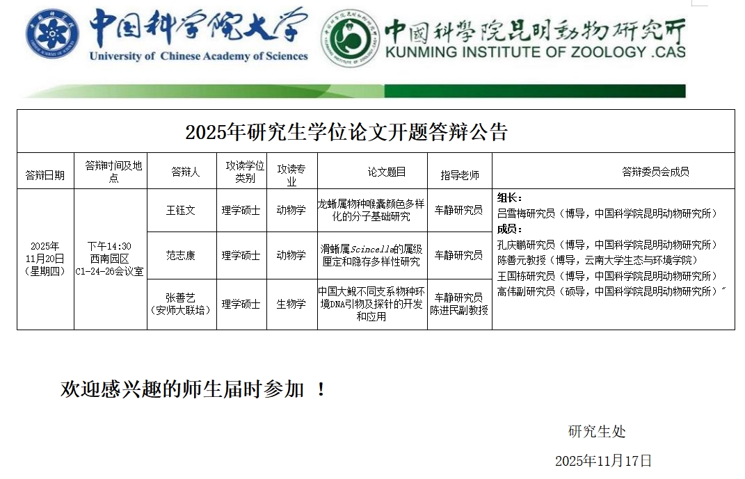 电子游戏app下载安装