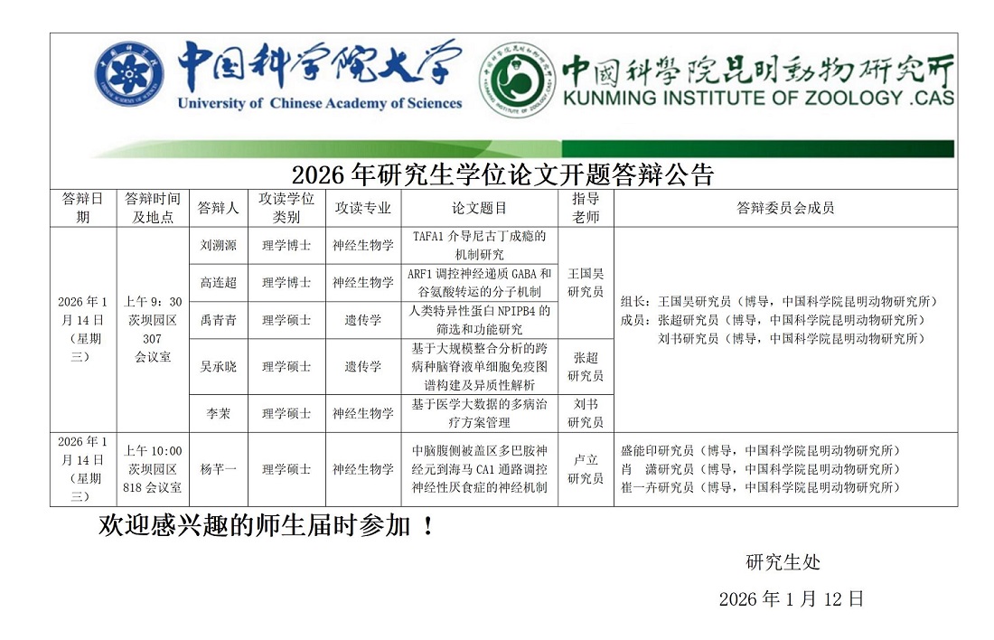 电子游戏app下载安装