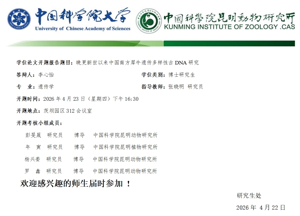 电子游戏app下载安装