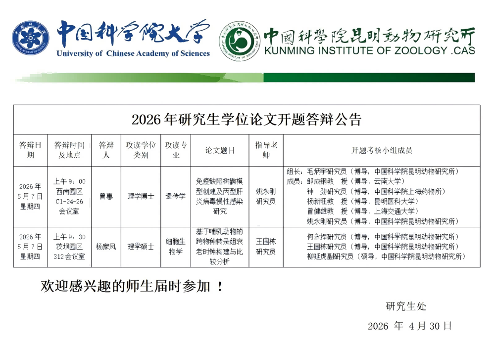 电子游戏app下载安装
