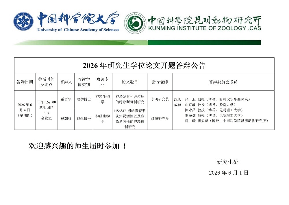 电子游戏app下载安装