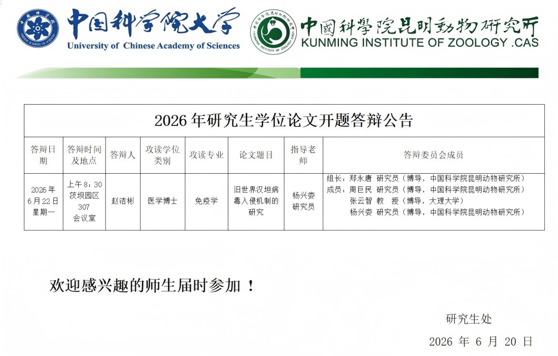 电子游戏app下载安装