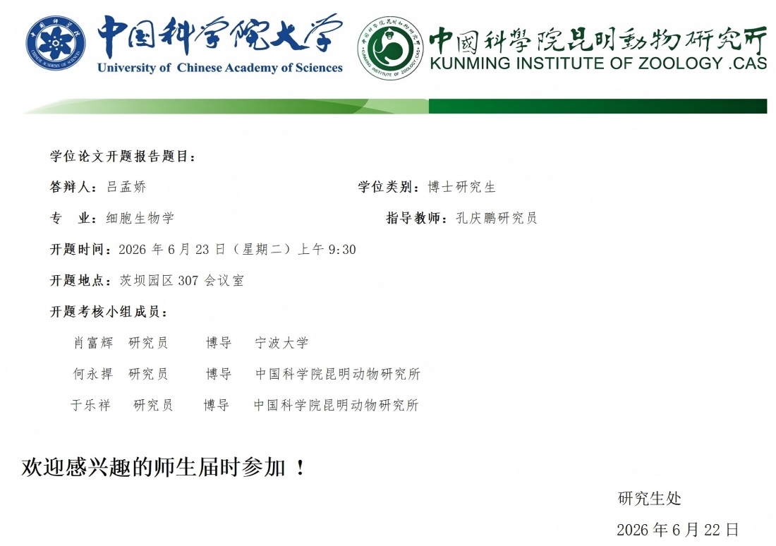 电子游戏app下载安装