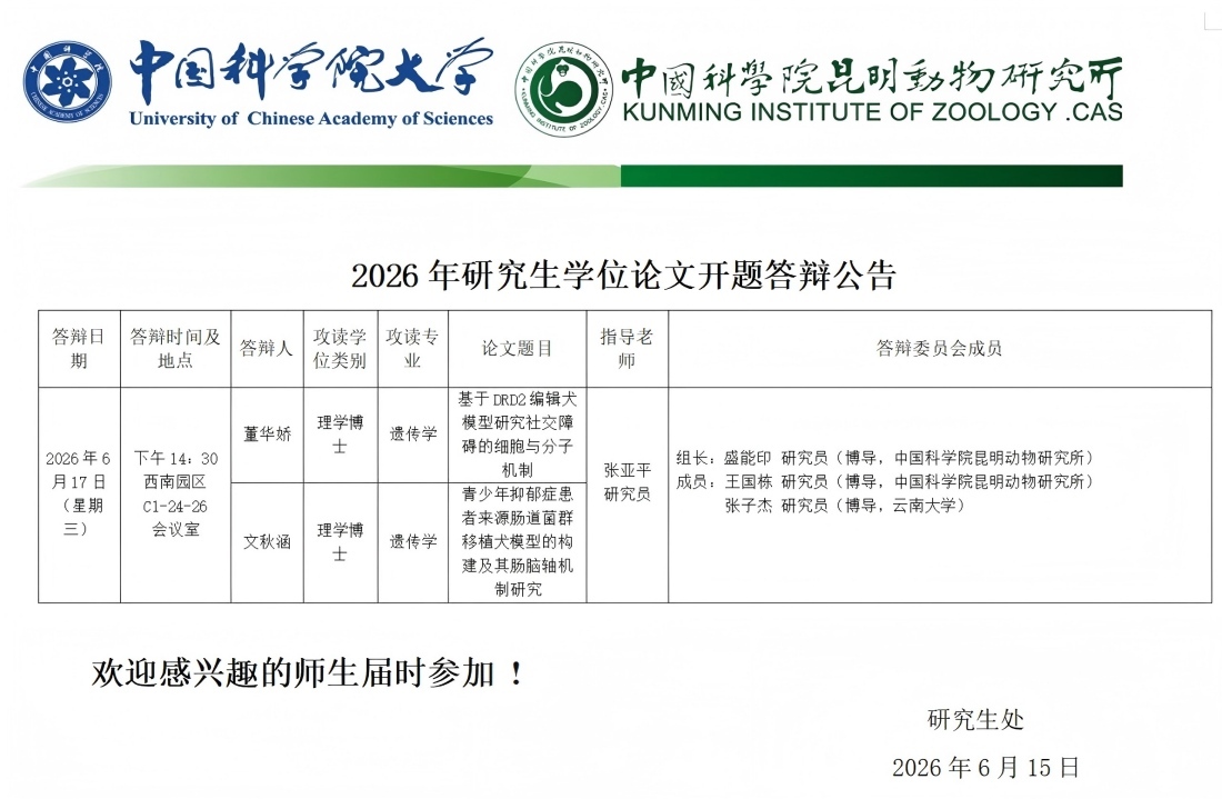 电子游戏app下载安装