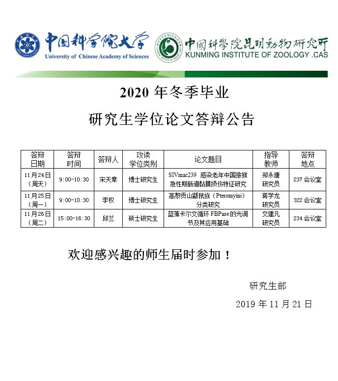 电子游戏app下载安装