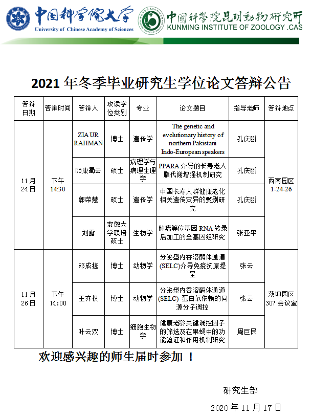 电子游戏app下载安装