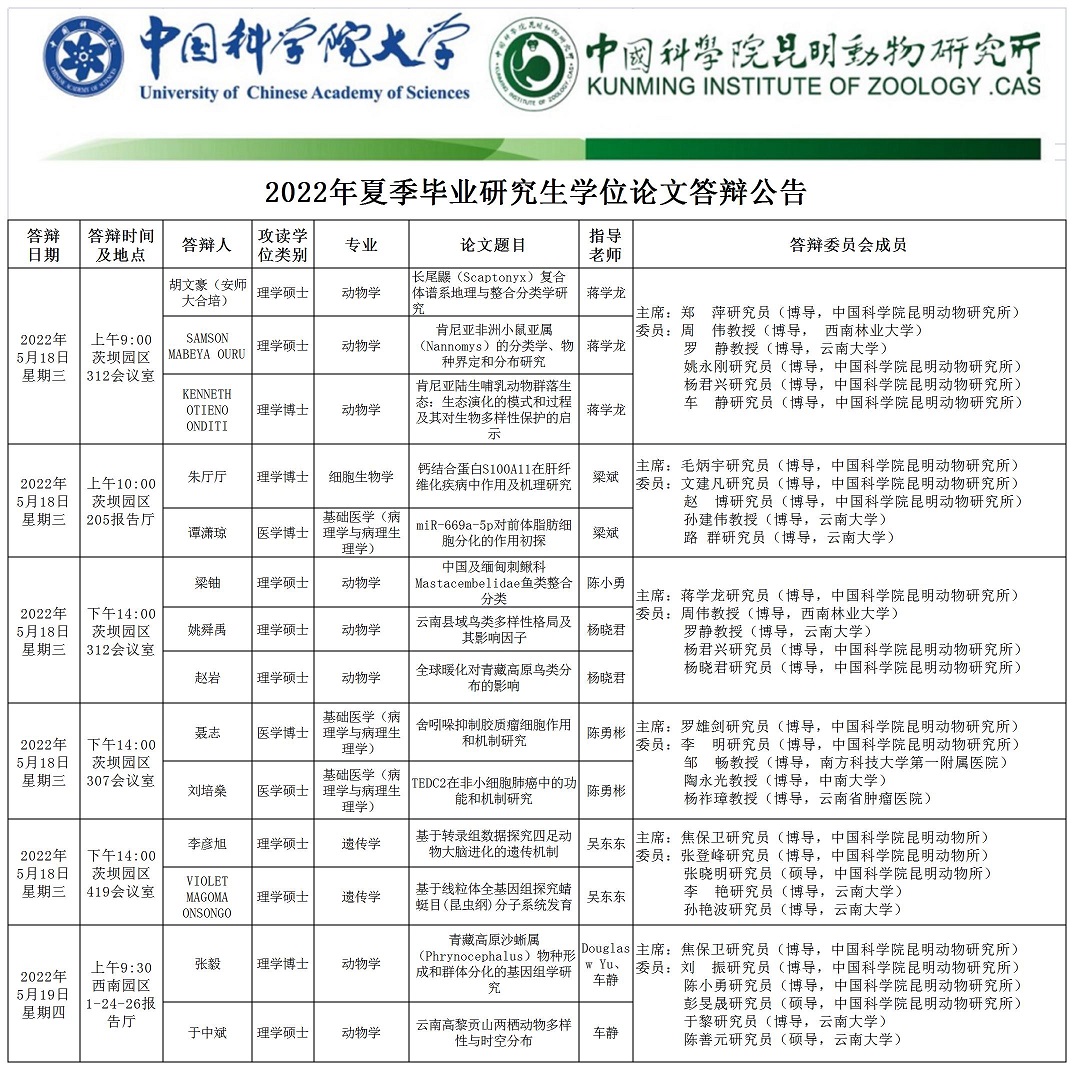 电子游戏app下载安装