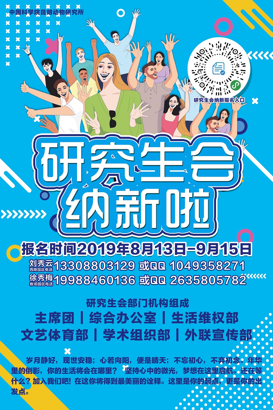 电子游戏app下载安装