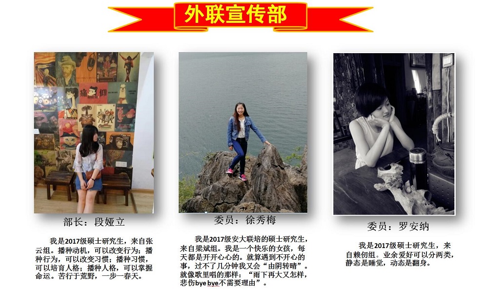 电子游戏app下载安装