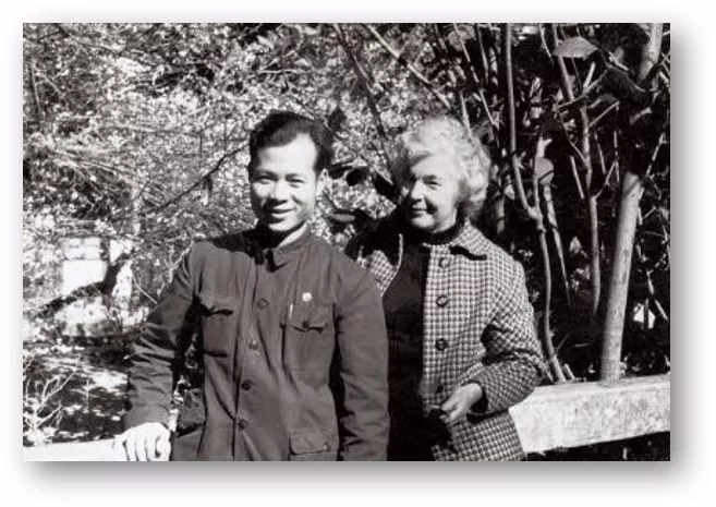 电子游戏app下载安装