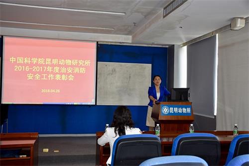 电子游戏app下载安装