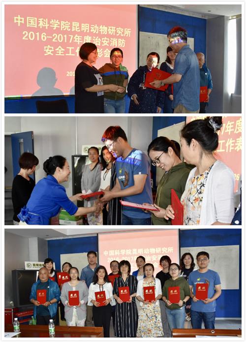 电子游戏app下载安装