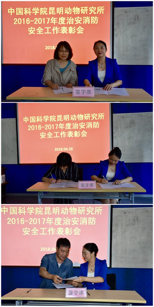 电子游戏app下载安装